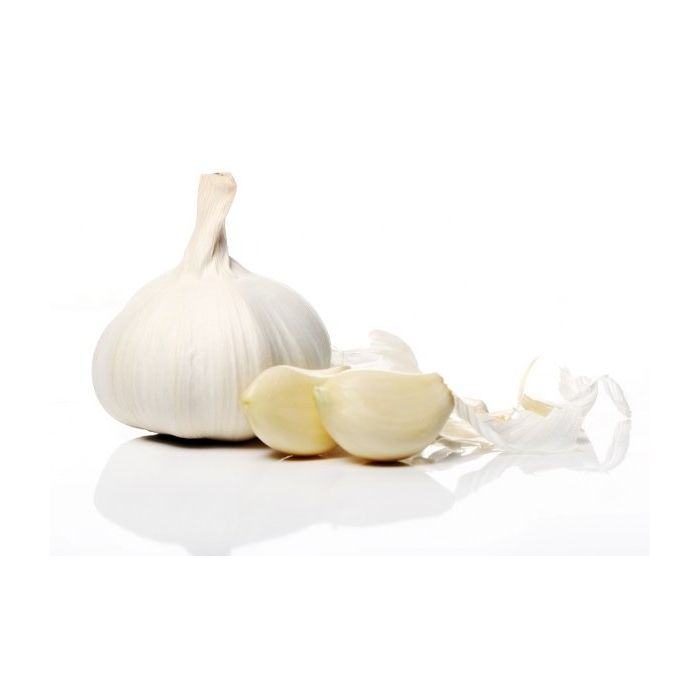 Algerian Garlic