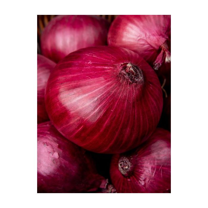 Onion