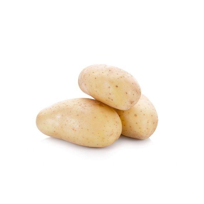 Potato