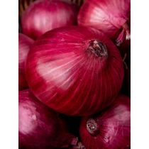 Onion